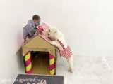 Amee dog steals BiBi& 039;s cake