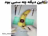 کلیپ ویدیو •۲۱•
