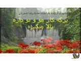 ترانه زیبای مشهدی ( ذره ذِره دِرَه عشقت تو دِلُم جا می گیرِه)