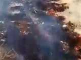 آتش‌ سوزی زنجیره‌ای جنگل‌های کوه برز شهرستان فیروزآباد فارس 