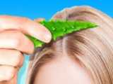 بانوان و آرایش :: ترفند کاربردی مراقبت از مو در خانه که باید بدانید