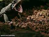 دانلود فیلم ترسناک کلیپ ترسناک وحشتناکترین نبرد حیوانات قسمت 164 HD