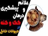 علائم،پیشگیری و درمان کک و کنه در حیوانات خانگی