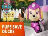 بازی با اسباب بازی سگ های نگهبان/قسمت 27/اسکای و مارشال اردک ها را نجات می دهند