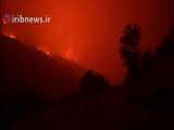 آتش سوزی در کالیفرنیا و تهدید درختان بی نظیر در جهان California wild fires