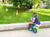 Bon rides a bicycle with so cute ducklings in the garden and eatsn