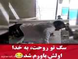 شنا زدن بدون دست کلیپ خنده