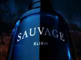 Dior Sauvage Elixir - Atran Perfumes