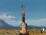 انیمیشن ماداگاسکار 2 بسیار زیبا و جالب