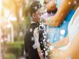 دانلود رایگان ۵ ویدیو ترنزیشن مخصوص کلیپ عروسی با کیفیت 4k 
