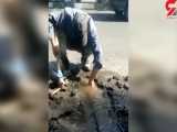 تصادف موتور سوار بی احتیاط با کارگر اداره آب در مهرشهر کرج