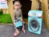 روتین زندگی بچه میمون بامزه با لباسشویی و اتو کشی