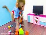 New living room of Baby monkey Bon Bon | Puppy ecome a Delivery Man