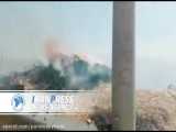 آتش‌سوزی در منطقه جنگلی درازنو کردکوی استان گلستان