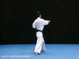 کاتای پینان سونو گو(کیوکوشین کاراته)