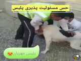 پناه اوردن سگ به پلیس