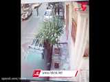 فیلم لحظه حمله 3 مرد به یک دختر تهرانی در روز روشن