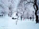 یک ساعت پیاده روی در سنترال پارک نیویورک در یک روز برفی | (صدای محیط | قسمت 69)