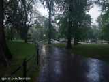 یک ساعت پیاده روی در هوای بارانی سنترال پارک نیویورک | (صدای محیط | قسمت 79)