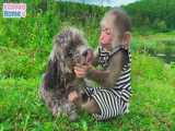 بازی سرگرم کننده میمون و توله سگ در علفزار
