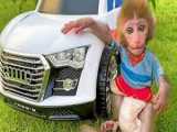 میمون بچه بون بون با توله سگش در باغ ماشین می راند