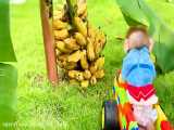 Baby monkey Bon Bon harvests fruit and plays with his friends on the farm