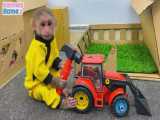 دزدیدن چرخ ماشین توله سگ توسط میمون