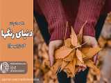 دنیای رنگ ها | رادیو مهرآوا