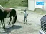 لگد محکم اسب به صورت بچه