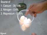 طرز تهیه کود آلی پوسته تخم مرغ برای گیاهان 