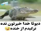 ویدیو خنده دار از حیوانات 
