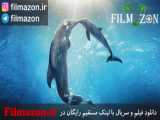تیزر فیلم Dolphin Tale 2 (داستان دلفین ۲) 2014