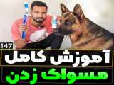 آسان ترین روش مسواک زدن سگ ها