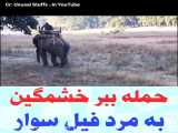 حیوانات وحشی / حمله ببر خشمگین به مرد فیل سوار / مستند حیوانات