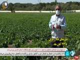 توصیه های هواشناسی کشاورزی ۲۲ مهر ۱۴۰۰ شبکه خبر