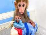 بچه میمون بون بون می رود لباسشویی می کند و با توله سگ بازی می کند
