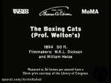 The boxing cats 1894