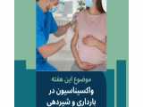 واکسن کرونا در بارداری و شیردهی