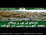 جدید ترین کلیپ  خنده دار حیوانات