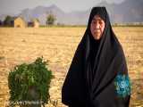 برنامه جز زیبایی ندیدم قسمت سوم خانم صالحی بانوی ایثارگر استان مرکزی