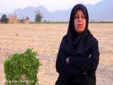 برنامه جز زیبایی ندیدم قسمت چهارم خانم سبحانی فر بانوی ایثارگر استان مرکزی
