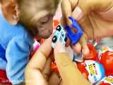 Bon Bon and puppy open Yummy Kinder Surprise Egg contain toys and chocolate