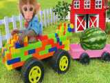 برداشت هندوانه با کامیون توسط بچه میمون