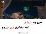 میکس سریال عاشقانه ببر و گل رز