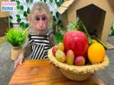لذت بردن میمون از میوه ها
