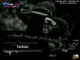 موزیک ویدیوی تنهایی،محمد لاشاری