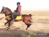 اسب...