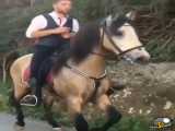 حرکت زیبا از اسب هلندی گرنس یول