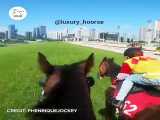 مسابقه کورس با اسب از دید سوارکار کپی مجاز