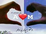 کلیپ اسمی A _ M